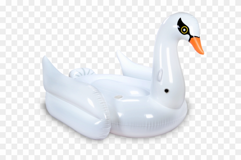 swan pool floatie