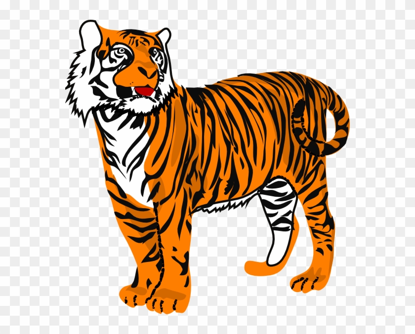 Animated Tiger Clip Art N4 - Tiger Clipart, HD Png Download - 576x597