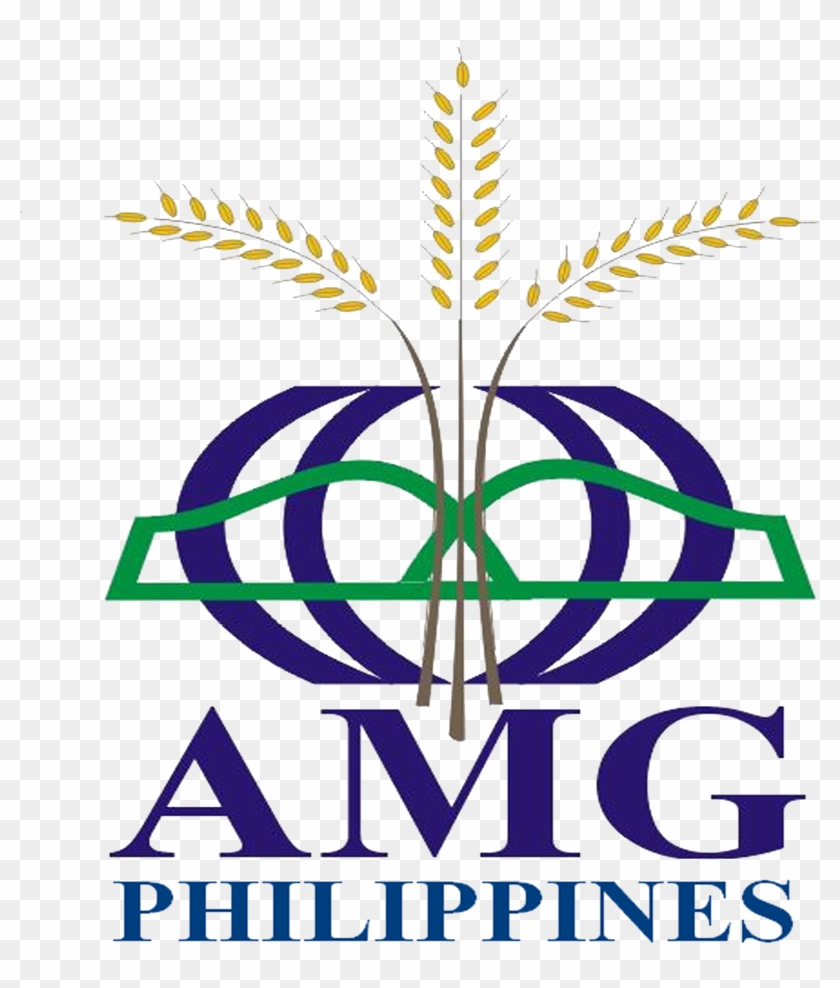 Amg Logo Copy Copy Cushion Hd Png Download X Pngfind