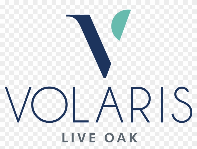 Volaris Live Oak, HD Png Download - 1050x825(#6360136) - PngFind