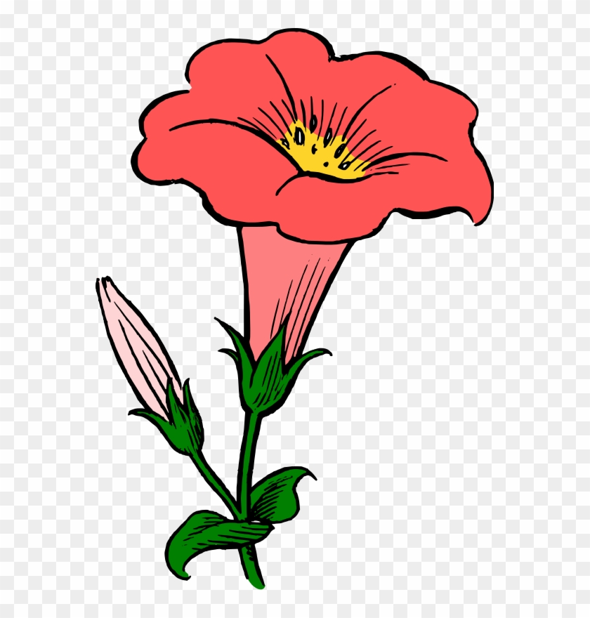 Featured image of post Carnation Flower Clipart Png