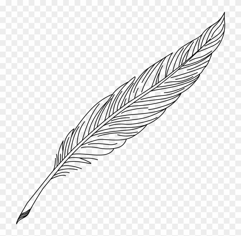 Feather Quill Nib Pens Ink - Feather Quill Pen Drawing, HD Png Download