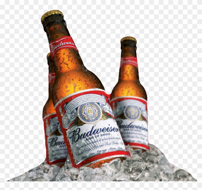 Budweiser Beer Logo