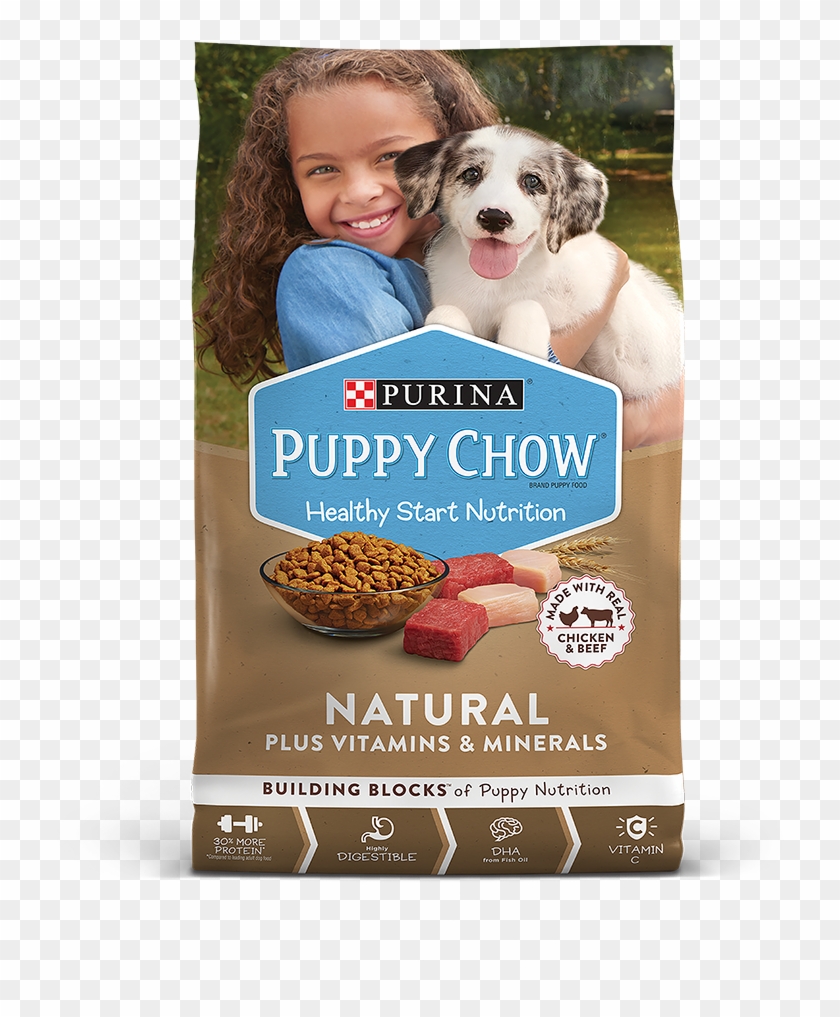 Purina puppy