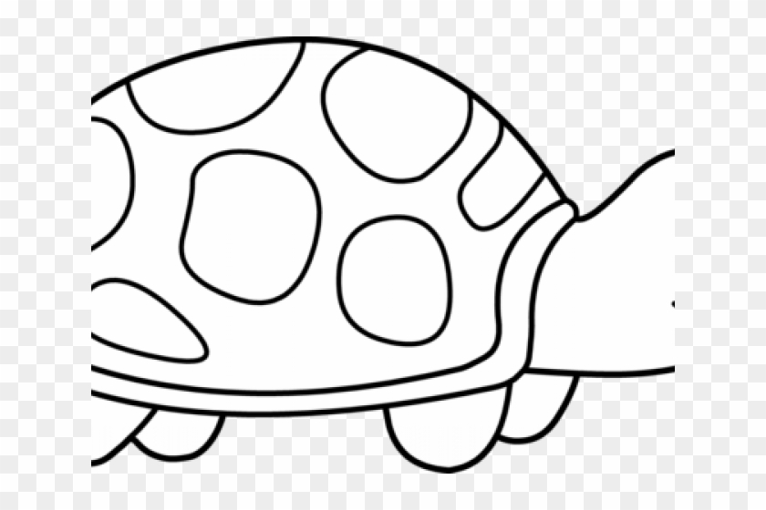 tortoise clip art black and white