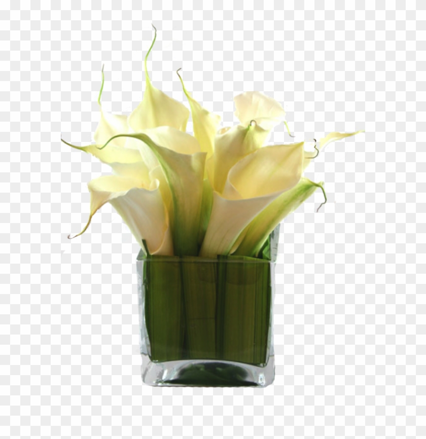 Calla Lily Png Calla Lily Vase Arrangements Small Transparent