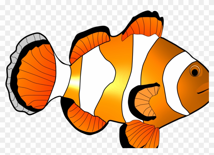 Clipart Coral Reef Fish HD Png Download 1067x715 6462441 PngFind   646 6462441 Clipart Coral Reef Fish Hd Png Download 