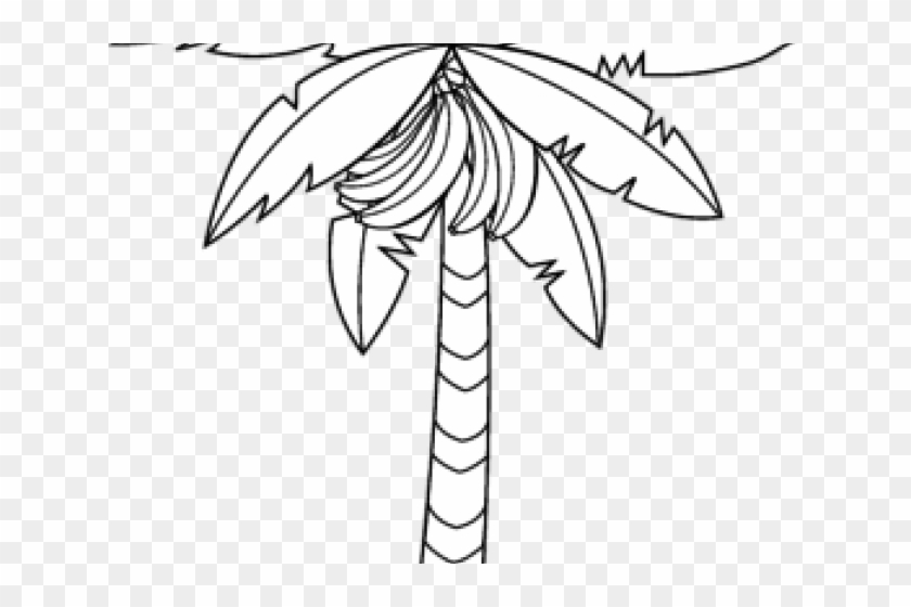 banana tree drawing png