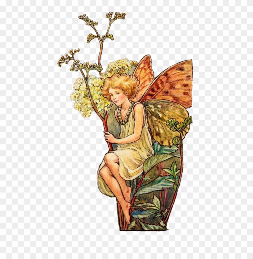 cicely mary fairy clipart