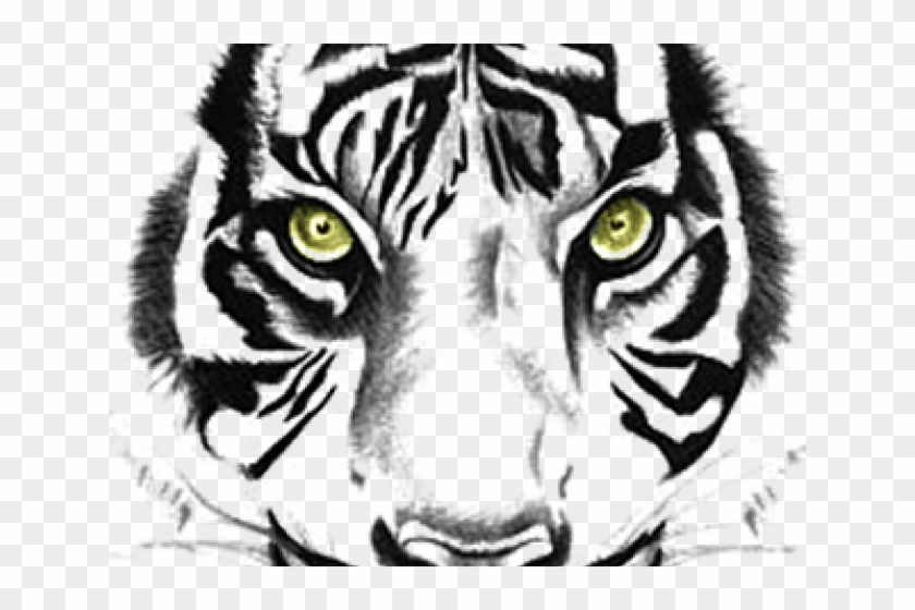 Amazoncom Tiger Collection White Tiger Temporary Tattoos  Beauty   Personal Care