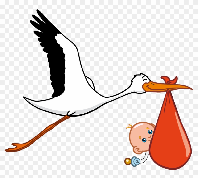 Renders Oiseau Bebe Cigogne Stork Delivering Baby Hd Png Download 900x765 Pngfind
