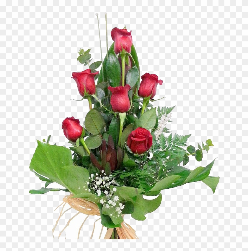 6 Rosas Rojas - Garden Roses, HD Png Download - 648x769(#6499395) - PngFind