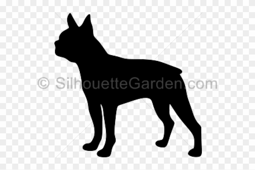 garden background clipart png of a dog