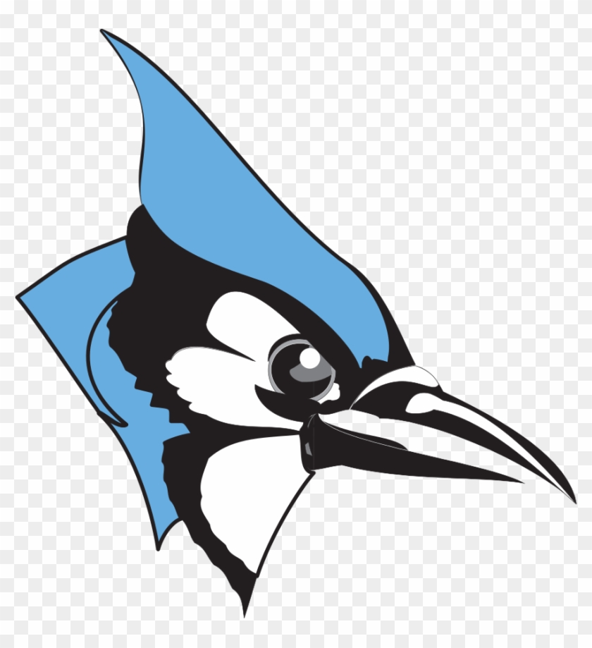 Clipart Library Library Hopkins Jays Clipart Blue Jay Clip Art Hd Png Download 874x915 Pngfind
