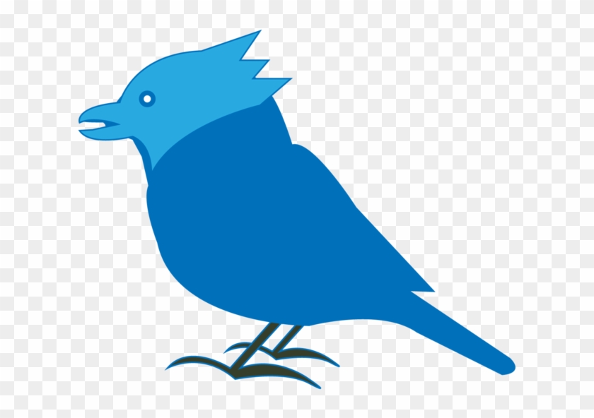 Bluejay Blue Jay Hd Png Download 1000x0 Pngfind