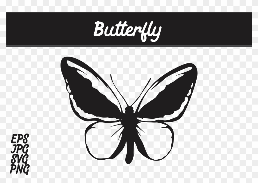 Download Butterfly Silhouette Svg Vector Image Graphic By Arief Fish Silhouette Hd Png Download 7514x5000 6516580 Pngfind