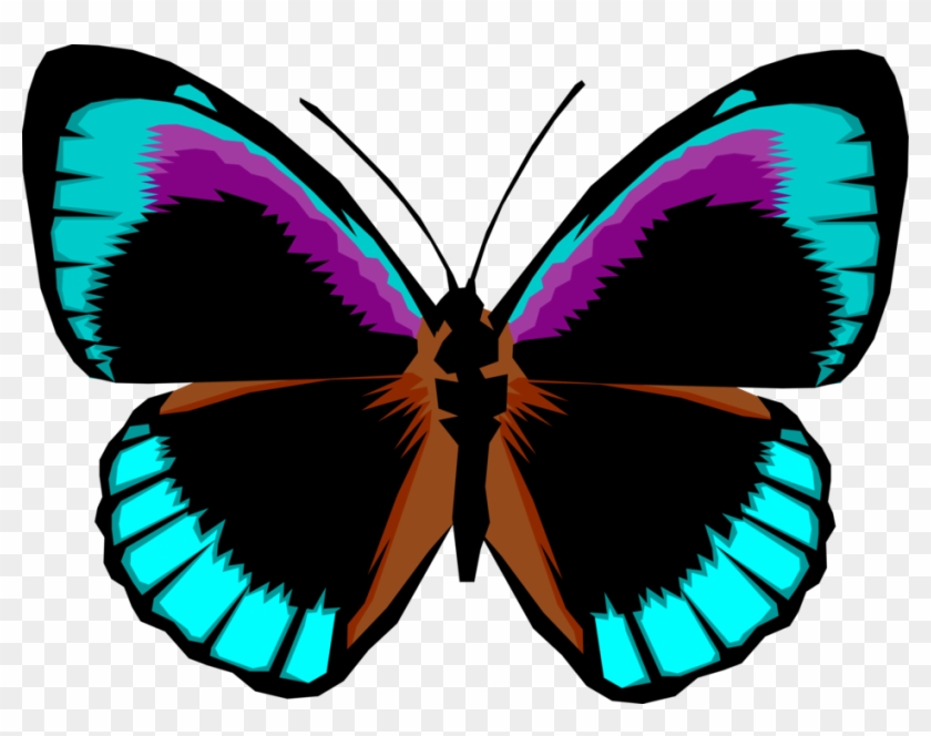 vector illustration of colorful black and blue butterfly bright colored butterfly hd png download 941x700 6516688 pngfind bright colored butterfly hd png