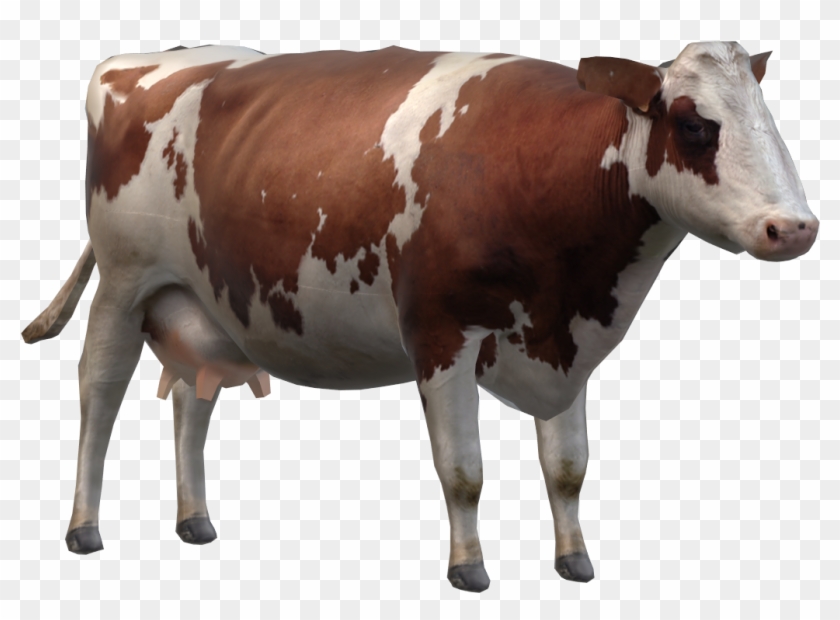 Cow - Dairy Cow, HD Png Download - 1158x869(#6530736) - PngFind