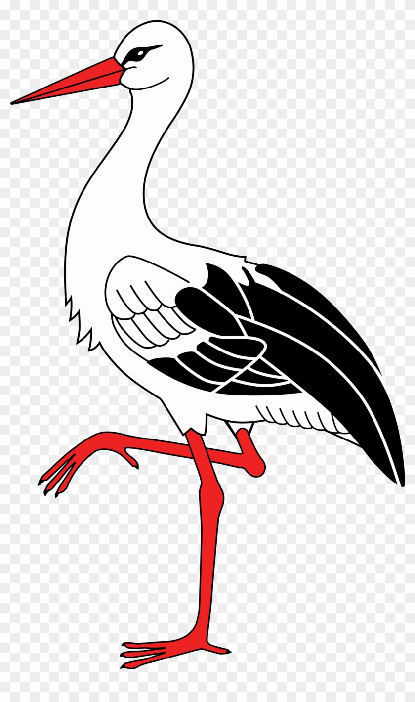 Stork Png Cigogne Dessin Transparent Png 00x2752 Pngfind