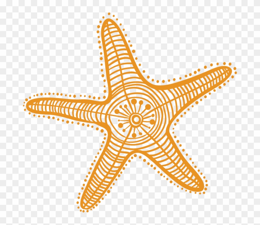 Estrella de mar png