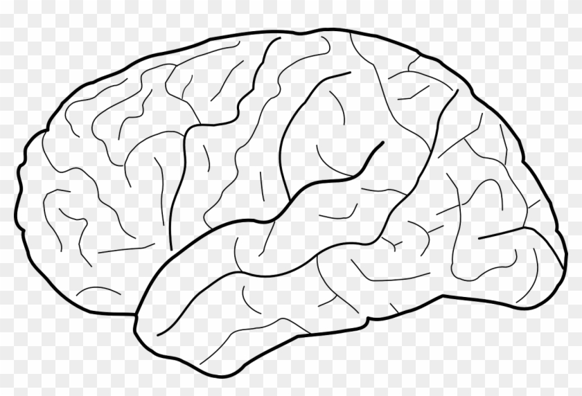 blank left brain diagram