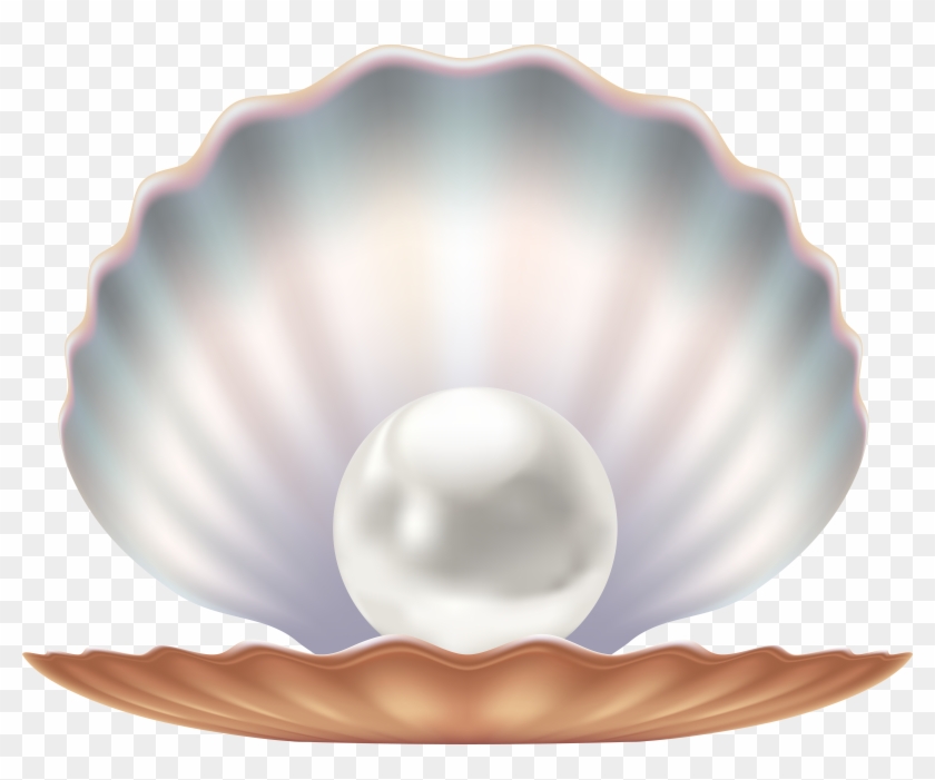 Seashell And Pearl Transparent Image, HD Png Download - 8000x6324 ...