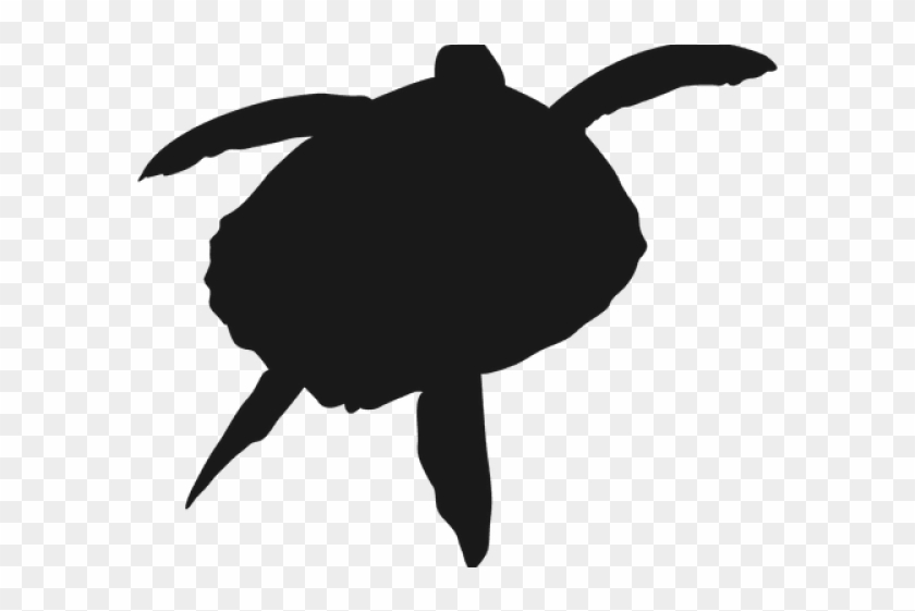 turtle silhouette png