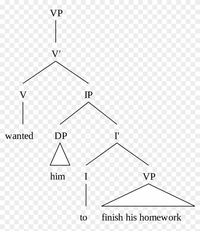 X-bar Syntax Tree - Ecm Verbs, HD Png Download - 908x1024(#6690368 ...