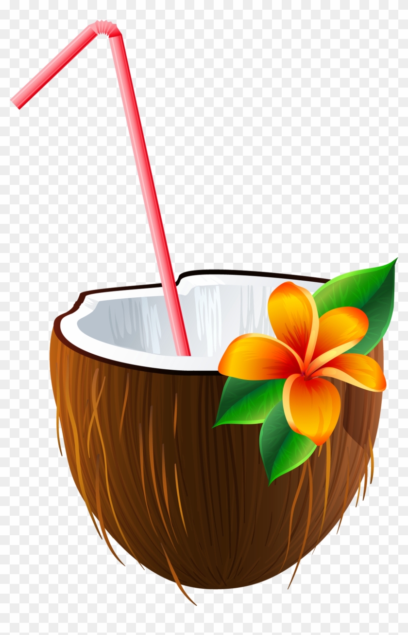 Exotic Clipart Moana Transparent Background Coconut Drink Clipart Hd Png Download 2322x3381 Pngfind