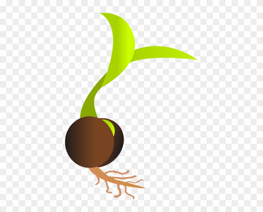 Sprouting Seed Germination Clip Art - Seed Png, Transparent Png ...