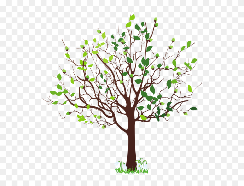 family tree clipart images