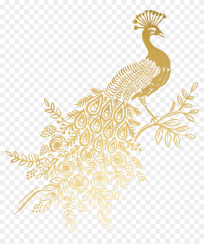 Transparent Weed Joint Clipart - Golden Peacock Feather Transparent