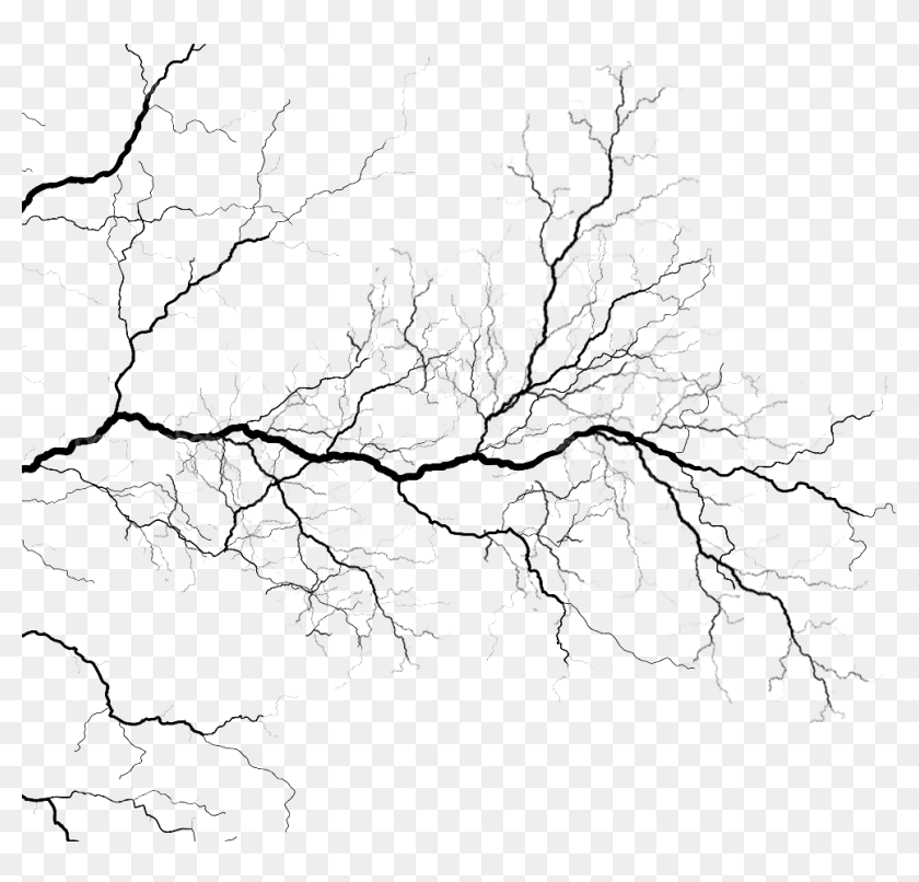 Veins Png, Transparent Png - 990x903(#6760728) - PngFind