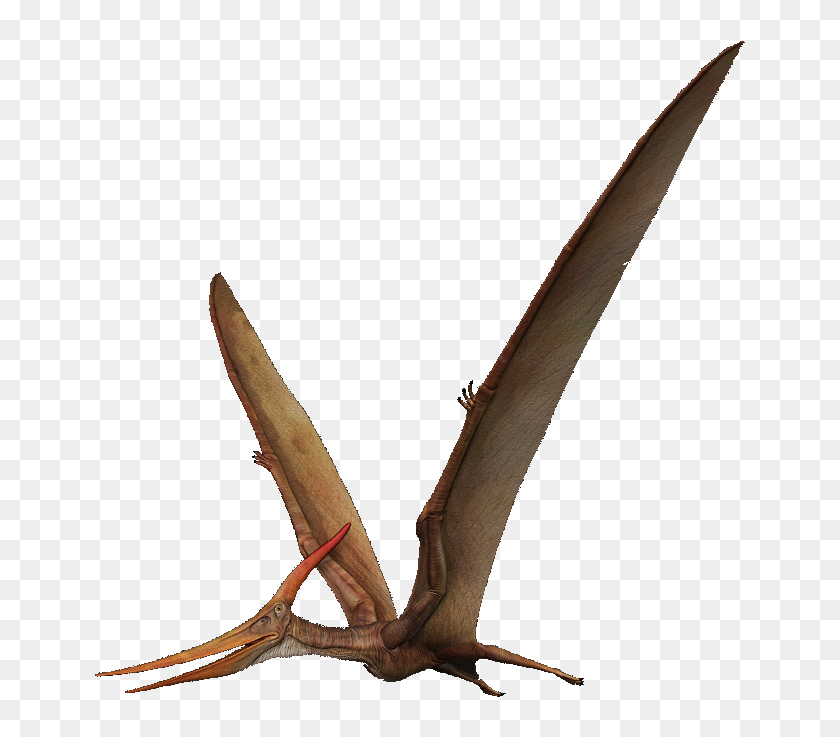 Pterodactyl Png, Transparent Png , Transparent Png Image - PNGitem