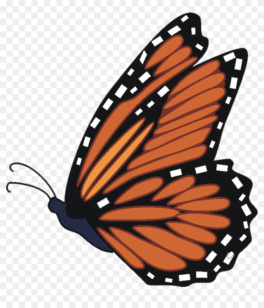 Download Butterfly Monarch Clipart Transparent Png Flying Monarch Butterfly Clipart Png Download 824x900 6786096 Pngfind