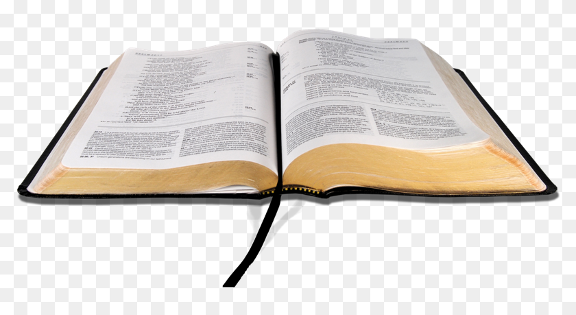 Biblia Png Sin Fondo - Bible Transparent Background, Png Download