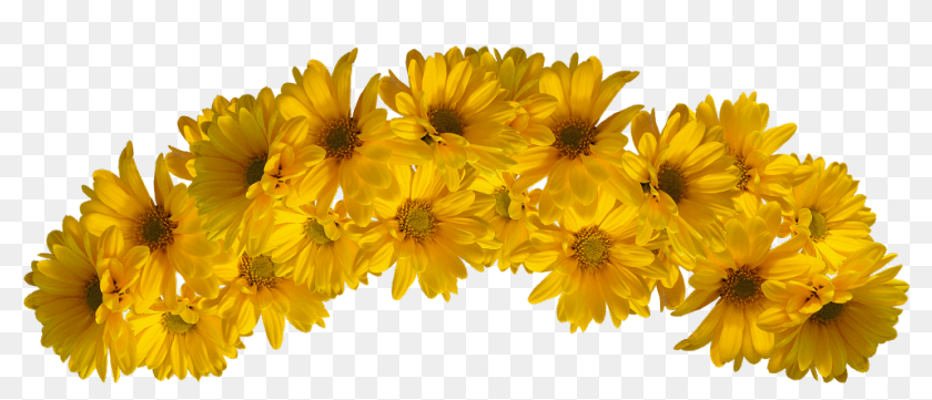 Yellow Flower Crown Png, Transparent Png - 1084x650(#6923367) - PngFind