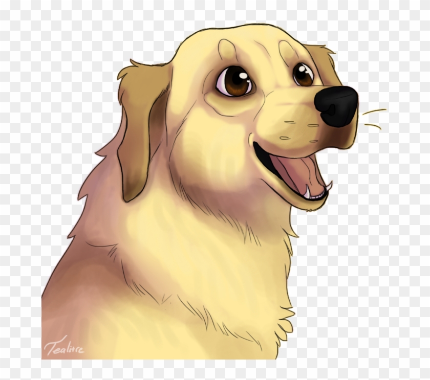 what breed is markipliers dog chica