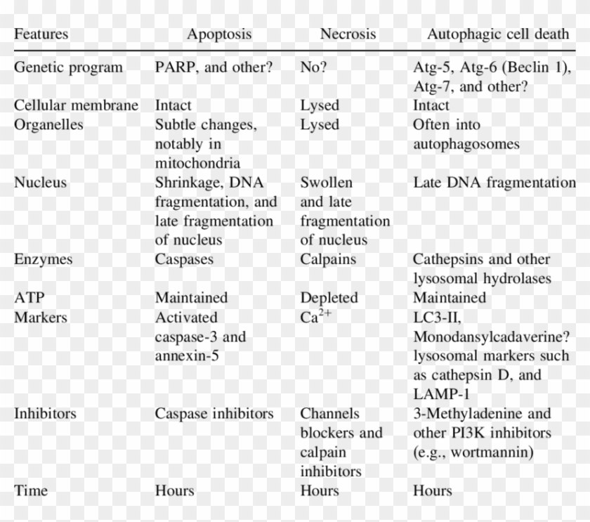 Types Of Cell Death Table