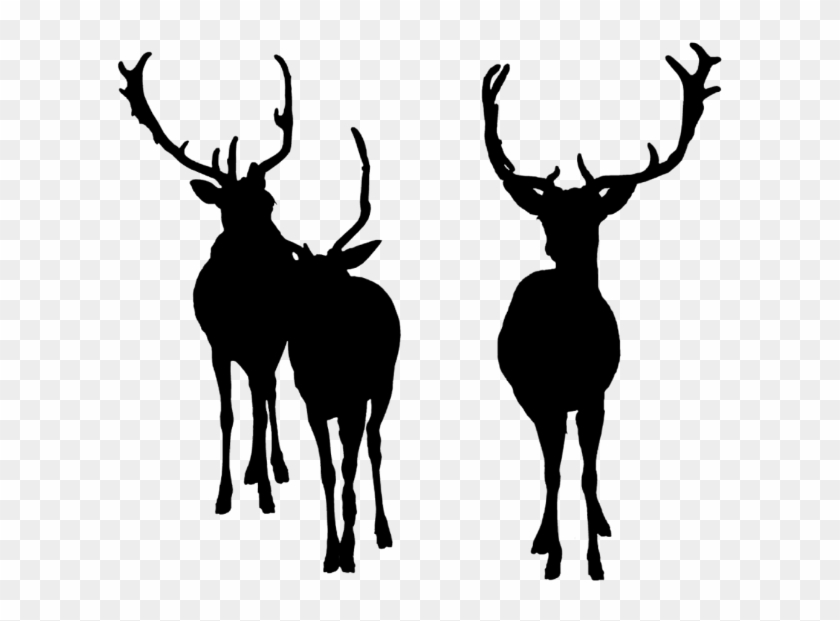 Deer Bucks Deersilhouette Silhouette - Elk, Hd Png Download - 607x541 