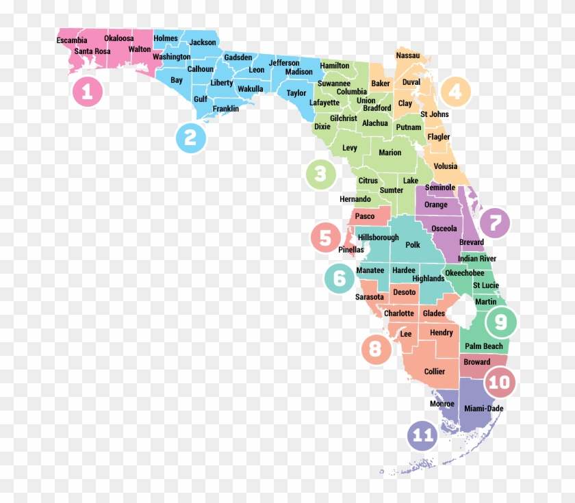 74 745204 More Information Florida Medicaid Regions Hd Png Download 