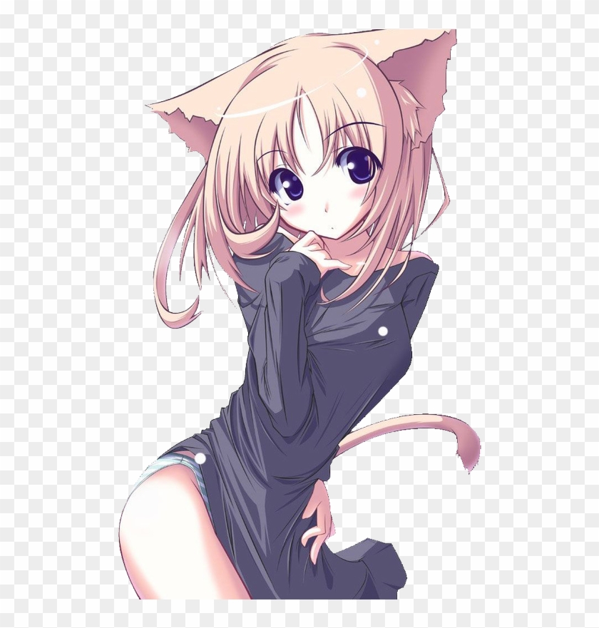Anime Cat Desktop Wallpaper  PixelsTalkNet