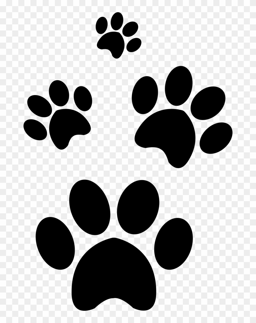 Download Png File Svg Pluspng Paw Print Clipart Transparent Background Png Download 686x980 764512 Pngfind