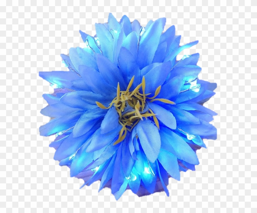 blue hair flowers