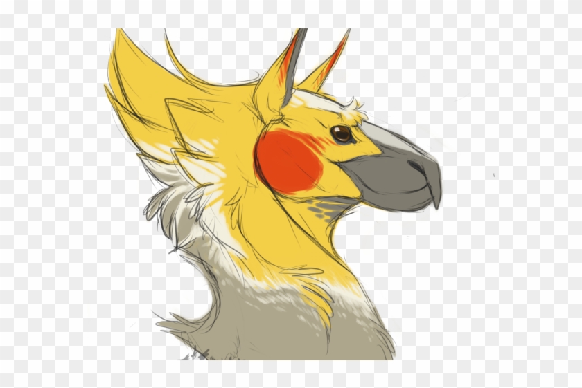 cute cockatiel drawing