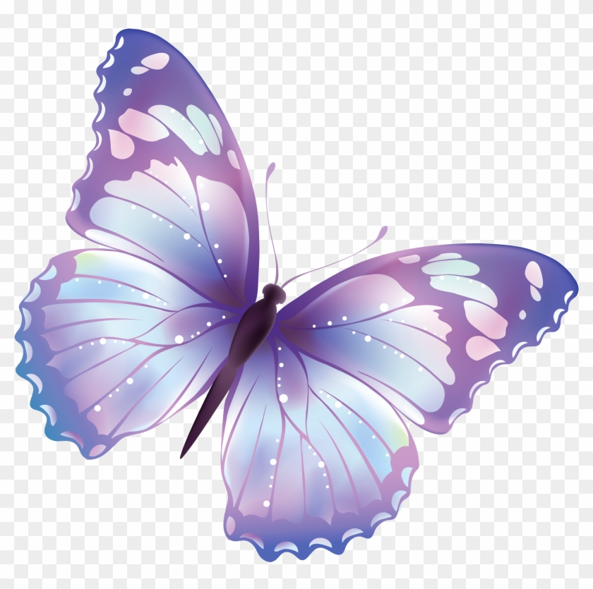 Download Flying Butterfly Png Image Transparent Png 2900x2755 81250 Pngfind