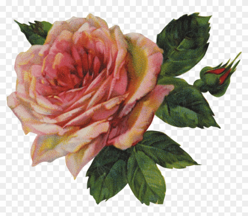 Vintage Victorian Rose Single - Png Vintage Pink Flower Transparent ...