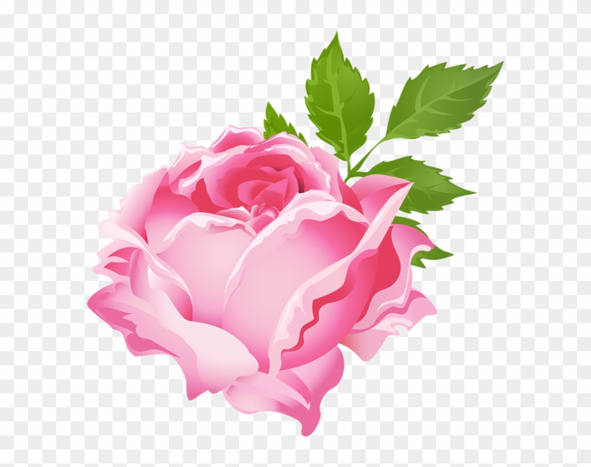 Pink Rose Png Clip Art Image Clip Art Purple Flowers Transparent Png 600x585 86709 Pngfind