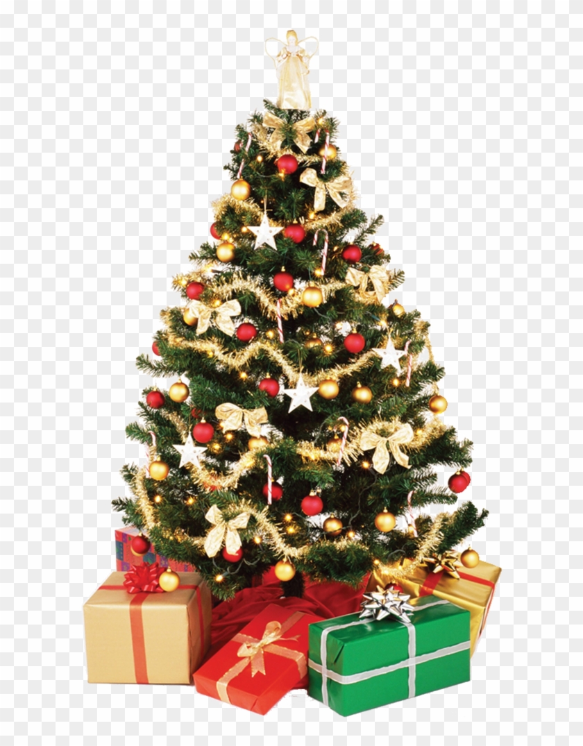 Christmas Tree Png - High Resolution Christmas Tree, Transparent Png ...