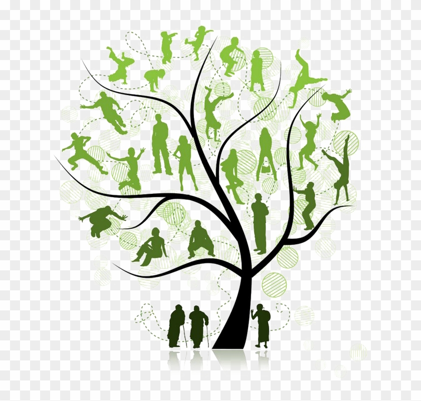 family reunion tree png